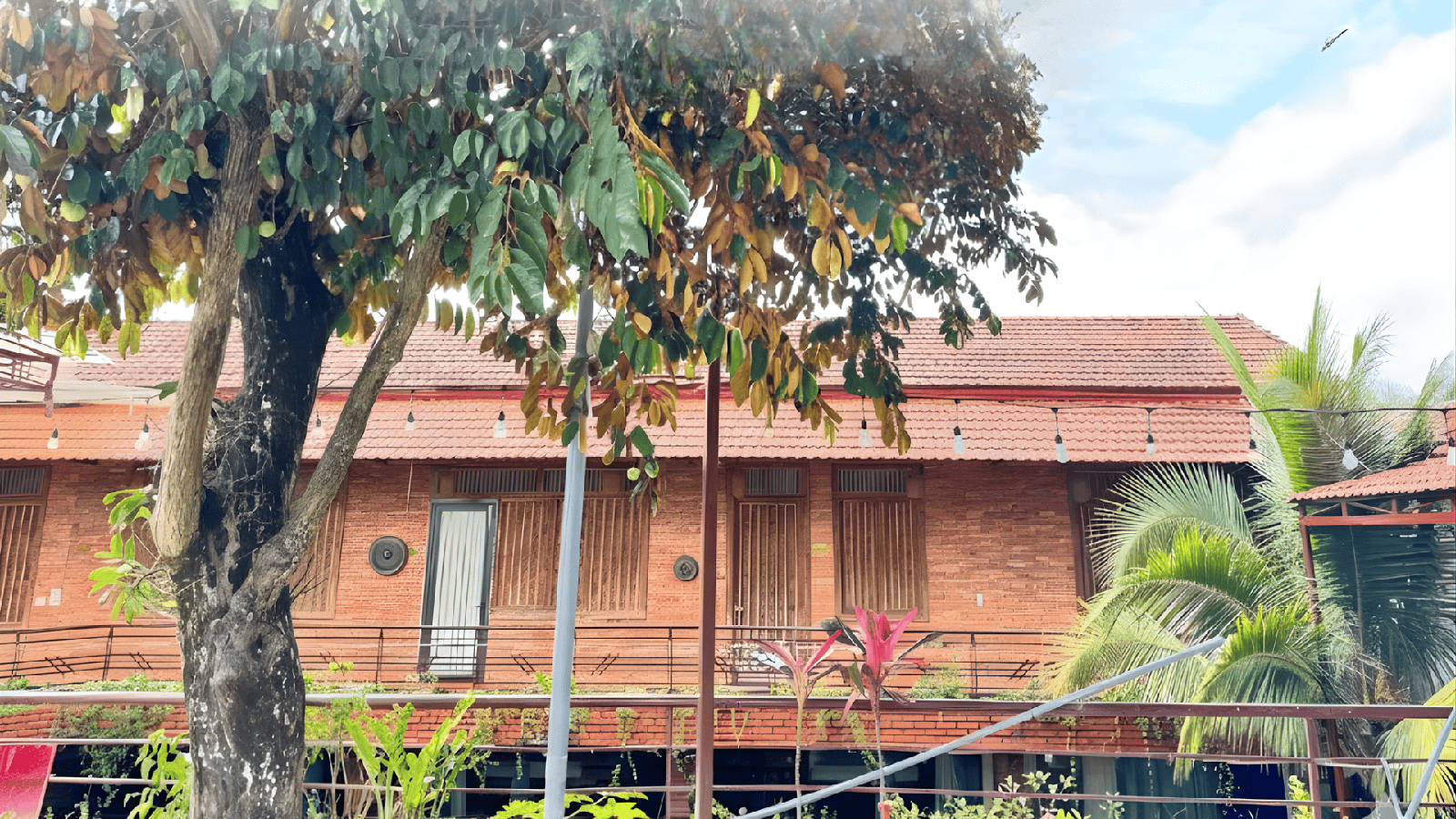 D BanLieue Homestay And Coffee (2)